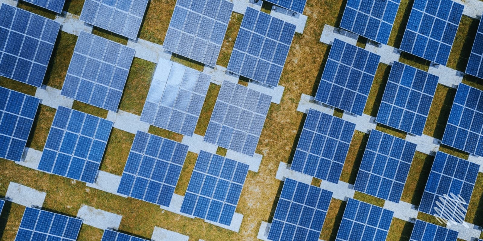 From individual plants to solar clusters
